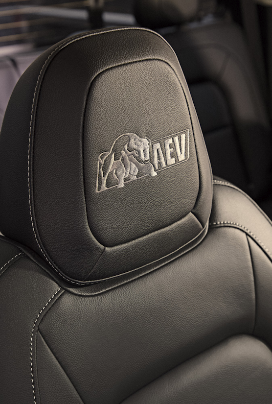 Bison AEV logo embroidered on the front head rests