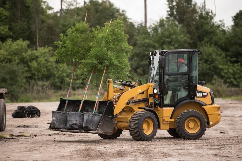 Cat compact wheel loader moving 3 trees in containers