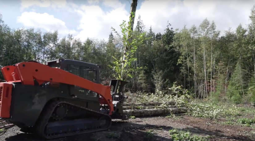 Dymax Tree Shears Clearing Forest